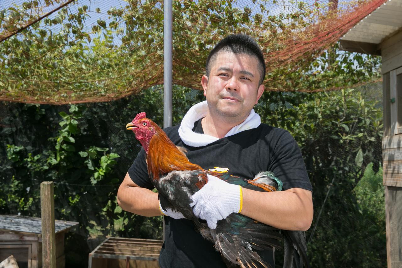 Отель Sazareishi Takashima Нобеока Экстерьер фото